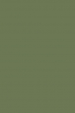 Calke Green