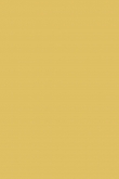 Ciara Yellow