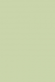 Cooking Apple Green