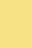 Dayroom Yellow