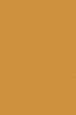 Indian Yellow