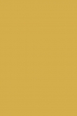 Print Room Yellow