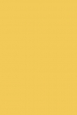 Yellow Ground